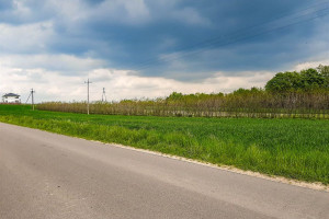 Działka na sprzedaż 3000m2 lubelski Konopnica - zdjęcie 4