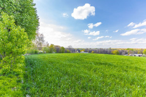 Działka na sprzedaż 4834m2 lubelski Wojciechów - zdjęcie 1