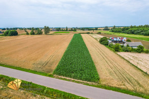 Działka na sprzedaż krasnostawski Fajsławice - zdjęcie 1