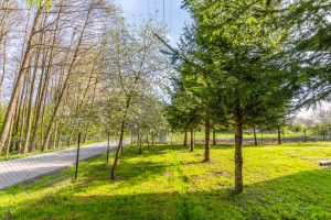 Dom na sprzedaż 100m2 lubelski Konopnica Radawiec Duży - zdjęcie 3