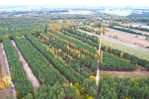 Działka na sprzedaż 6058m2 lubartowski Firlej Stary Antonin - zdjęcie 3