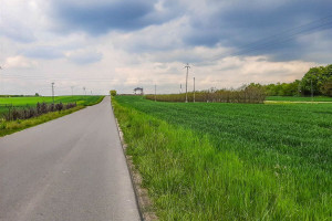 Działka na sprzedaż 3000m2 lubelski Konopnica - zdjęcie 3