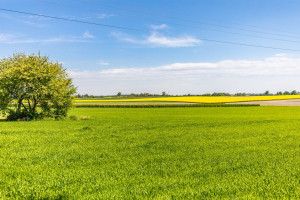 Działka na sprzedaż 3000m2 lubelski Wojciechów - zdjęcie 4