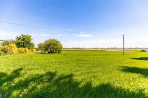 Działka na sprzedaż 3000m2 lubelski Wojciechów - zdjęcie 3