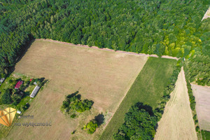 Działka na sprzedaż 1329m2 lubartowski Ostrów Lubelski Kaznów-Kolonia - zdjęcie 3