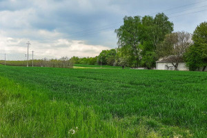 Działka na sprzedaż 3000m2 lubelski Konopnica - zdjęcie 1