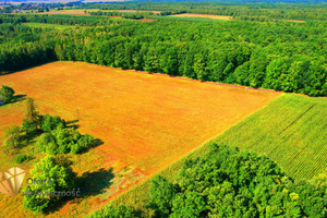 Działka na sprzedaż 1329m2 lubartowski Ostrów Lubelski Kaznów-Kolonia - zdjęcie 1