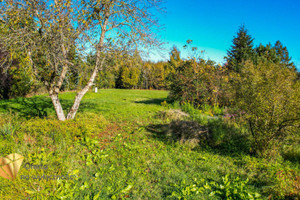 Działka na sprzedaż 1100m2 lubelski Jastków Dąbrowica - zdjęcie 2