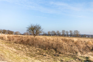 Działka na sprzedaż 2500m2 Lublin - zdjęcie 2