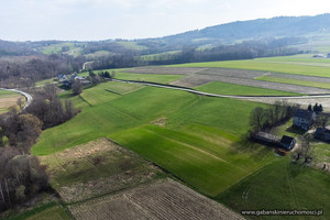 Działka na sprzedaż 8500m2 dębicki Pilzno Zwiernik - zdjęcie 1