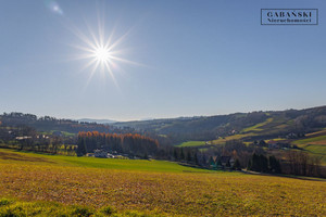 Działka na sprzedaż 8600m2 tarnowski Ciężkowice Zborowice - zdjęcie 1