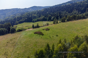 Działka na sprzedaż 1955m2 tarnowski Zakliczyn Słona - zdjęcie 1