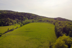 Działka na sprzedaż 1955m2 tarnowski Zakliczyn Słona - zdjęcie 1