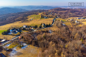 Działka na sprzedaż 7000m2 tarnowski Pleśna Dąbrówka Szczepanowska - zdjęcie 1