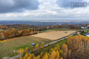 Działka na sprzedaż 1648m2 tarnowski Pleśna Dąbrówka Szczepanowska - zdjęcie 2