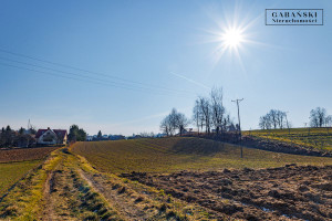 Działka na sprzedaż 1079m2 tarnowski Skrzyszów Łękawica - zdjęcie 1