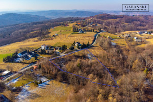 Działka na sprzedaż 7000m2 tarnowski Pleśna Dąbrówka Szczepanowska - zdjęcie 2