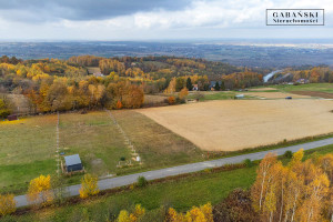 Działka na sprzedaż 1648m2 tarnowski Pleśna Dąbrówka Szczepanowska - zdjęcie 1