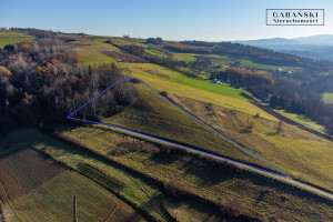 Działka na sprzedaż 8600m2 tarnowski Ciężkowice Zborowice - zdjęcie 3