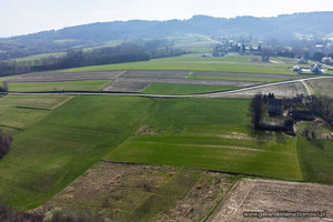 Działka na sprzedaż 8500m2 dębicki Pilzno Zwiernik - zdjęcie 2