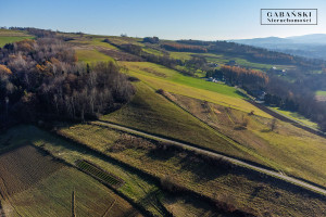 Działka na sprzedaż 8600m2 tarnowski Ciężkowice Zborowice - zdjęcie 2