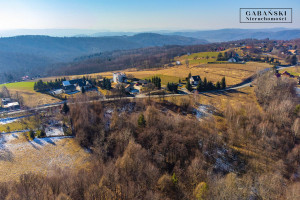 Działka na sprzedaż 7000m2 tarnowski Pleśna Dąbrówka Szczepanowska - zdjęcie 3