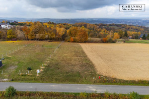 Działka na sprzedaż 1648m2 tarnowski Pleśna Dąbrówka Szczepanowska - zdjęcie 3