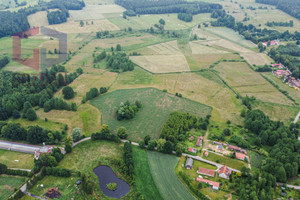 Działka na sprzedaż 3000m2 ostródzki Łukta Dąg - zdjęcie 3