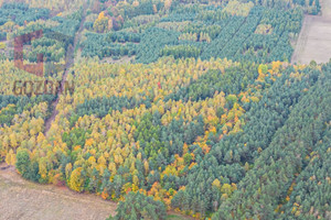 Działka na sprzedaż 32800m2 żuromiński Kuczbork-Osada Nowa Wieś - zdjęcie 3