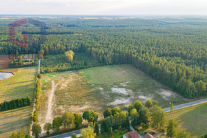 Działka na sprzedaż 3000m2 olsztyński Jonkowo Stękiny - zdjęcie 2