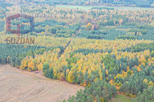 Działka na sprzedaż 32800m2 żuromiński Kuczbork-Osada Nowa Wieś - zdjęcie 2