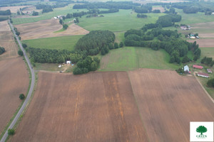 Działka na sprzedaż rypiński Rogowo Borowo - zdjęcie 2