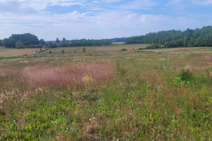 Działka na sprzedaż 1798m2 wejherowski Szemud Łebno - zdjęcie 1