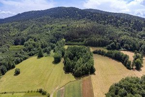 Działka na sprzedaż 48013m2 jasielski Nowy Żmigród Jaworze - zdjęcie 3