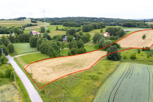 Działka na sprzedaż 18300m2 rzeszowski Boguchwała Niechobrz - zdjęcie 2