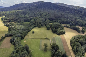 Działka na sprzedaż 48013m2 jasielski Nowy Żmigród Jaworze - zdjęcie 2