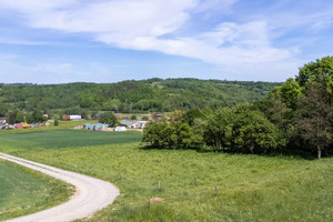 Działka na sprzedaż 10155m2 rzeszowski Błażowa Nowy Borek - zdjęcie 2