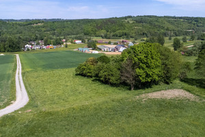 Działka na sprzedaż 10155m2 rzeszowski Błażowa Nowy Borek - zdjęcie 3