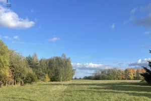 Działka na sprzedaż 3587m2 łódzki wschodni Koluszki Będzelin Leśna - zdjęcie 3