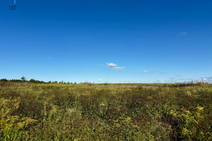 Działka na sprzedaż 2997m2 zgierski Zgierz Janów - zdjęcie 1