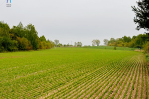 Działka na sprzedaż 9297m2 łódzki wschodni Tuszyn Niedas Trzciniec - zdjęcie 1