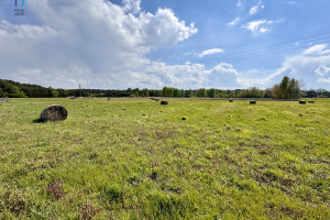 Działka na sprzedaż 951m2 zgierski Aleksandrów Łódzki Stary Adamów Działkowa - zdjęcie 2