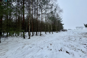 Działka na sprzedaż 27100m2 poddębicki Zadzim Iwonie - zdjęcie 2