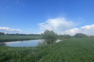 Działka na sprzedaż 12082m2 pabianicki Ksawerów Nowa Gadka Ogrodników - zdjęcie 1