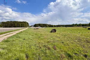 Działka na sprzedaż 951m2 zgierski Aleksandrów Łódzki Stary Adamów Działkowa - zdjęcie 1