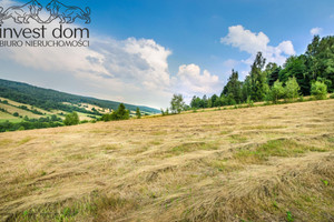 Działka na sprzedaż 24800m2 gorlicki Sękowa Małastów - zdjęcie 1