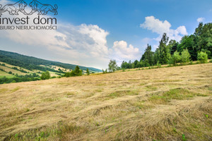 Działka na sprzedaż 24800m2 gorlicki Sękowa Małastów - zdjęcie 1