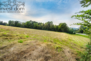 Działka na sprzedaż 24800m2 gorlicki Sękowa Małastów - zdjęcie 3