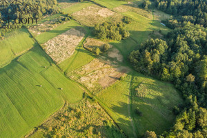 Działka na sprzedaż 18402m2 gorlicki Lipinki Kryg - zdjęcie 3