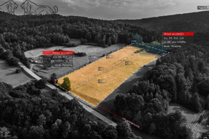 Działka na sprzedaż 24800m2 gorlicki Sękowa Małastów - zdjęcie 2